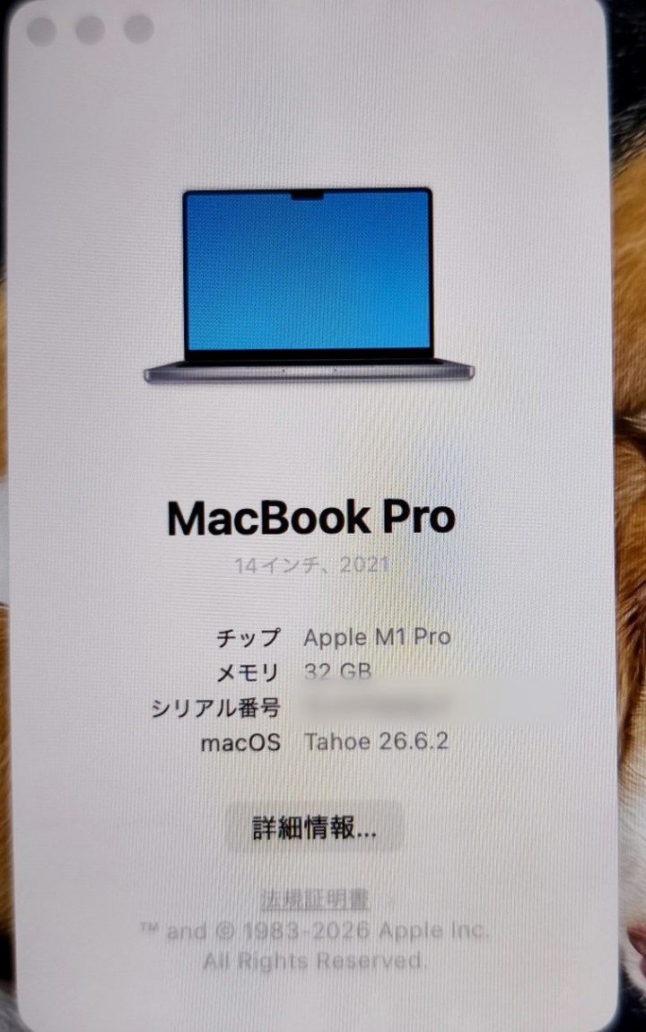 MacBookのこのMacについて画面